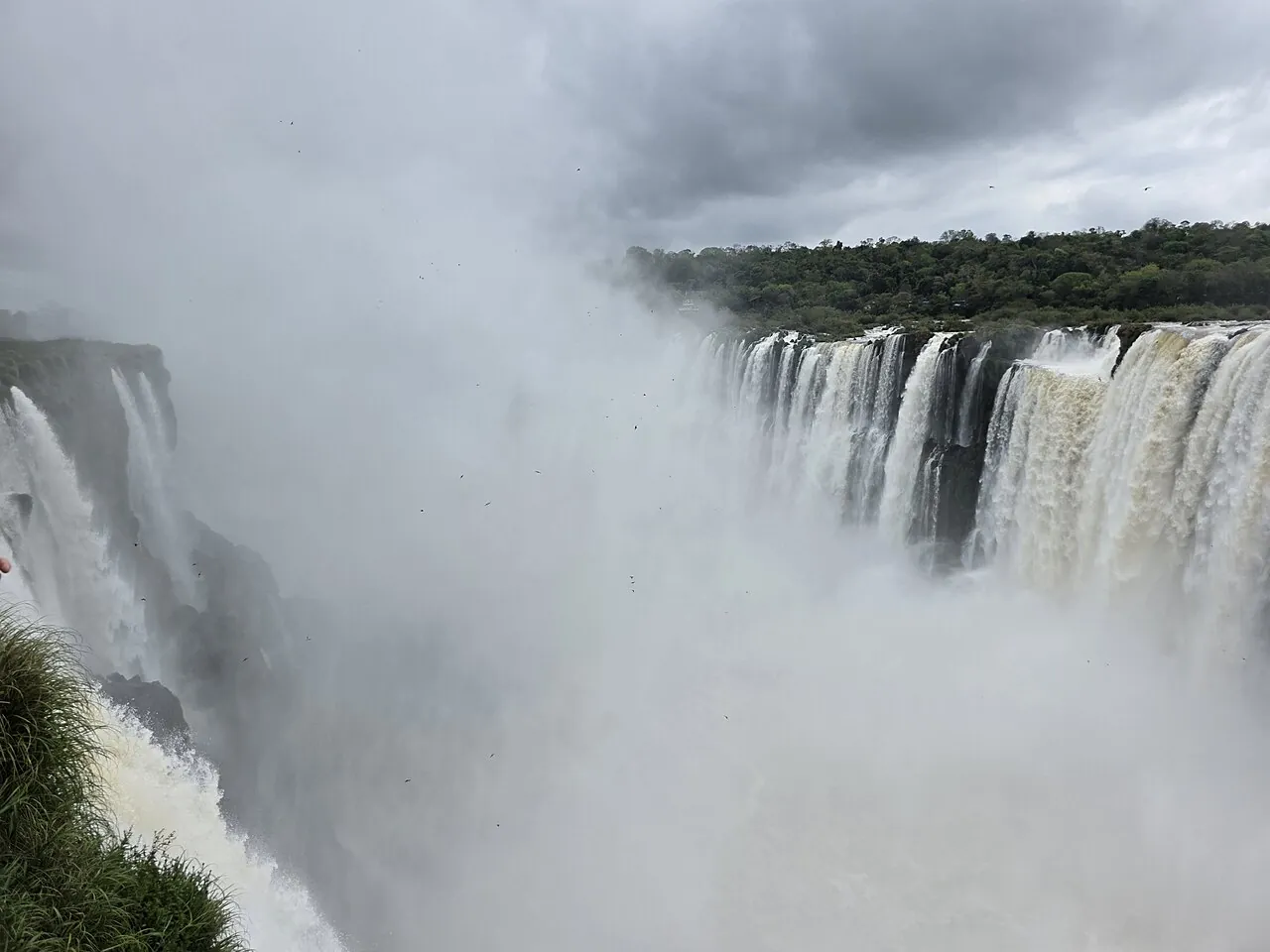 Natureza e fauna preservadas